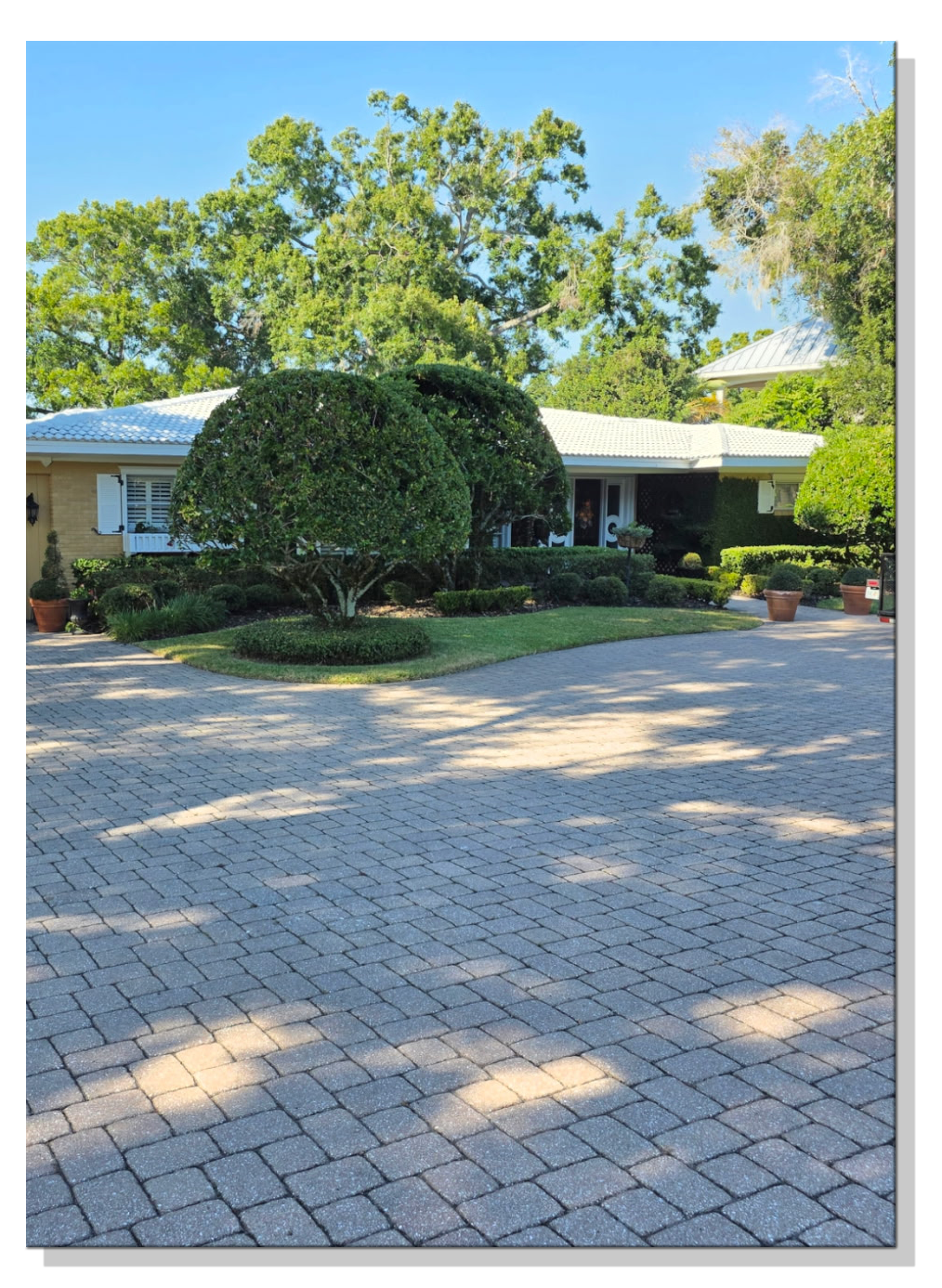 ISI Lawn Care & Tree Service